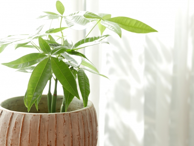 患者さんの不安をやわらげる眼科の内装デザインとは