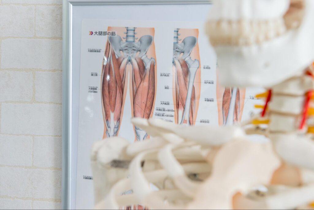 整形外科の開業時に電子カルテを選ぶ方法